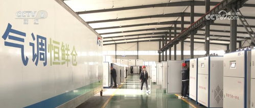冷链 保驾 农产品储存销售 让 鲜起来 的农产品运得出 卖得好
